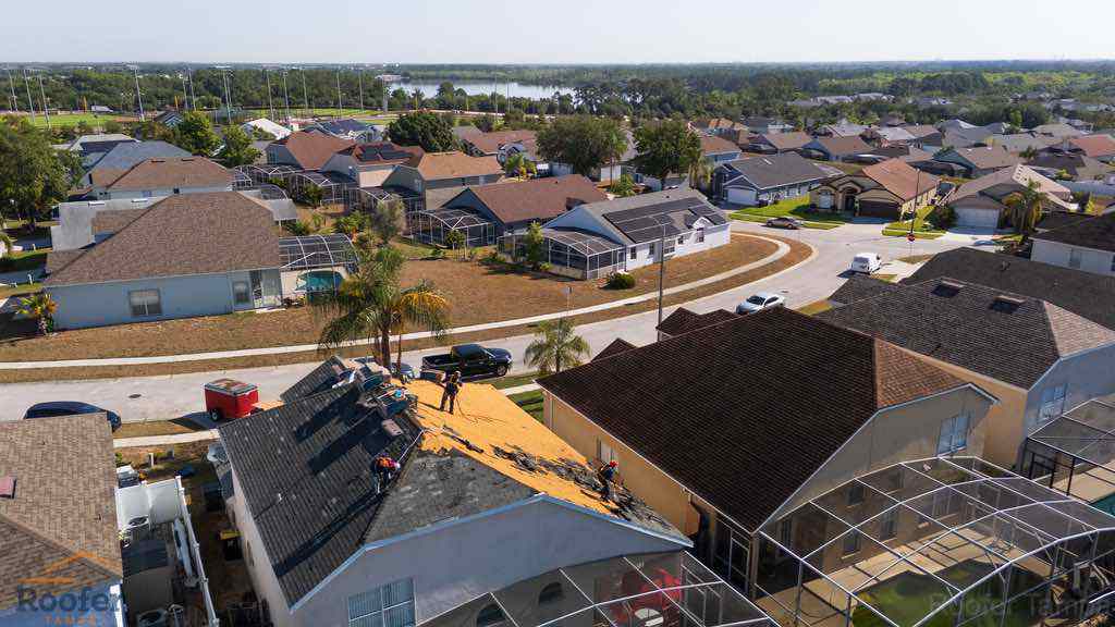 Roofer In Tampa Roofer In Tampa